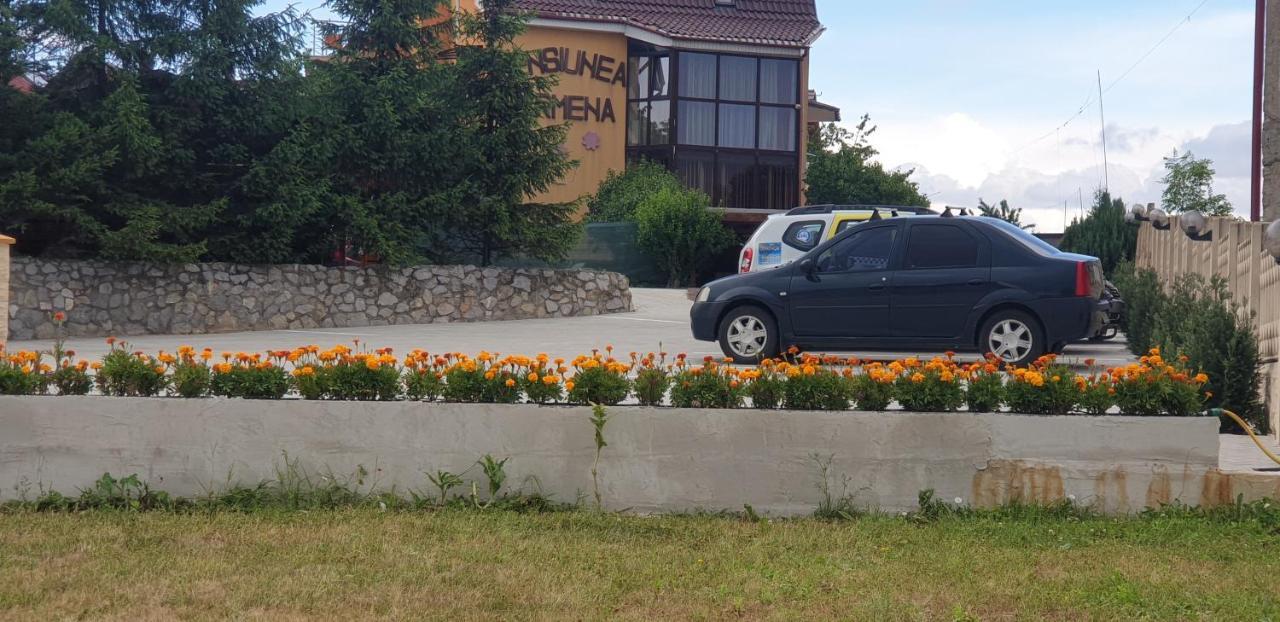 Pensiunea Carmena Baile Felix Luaran gambar